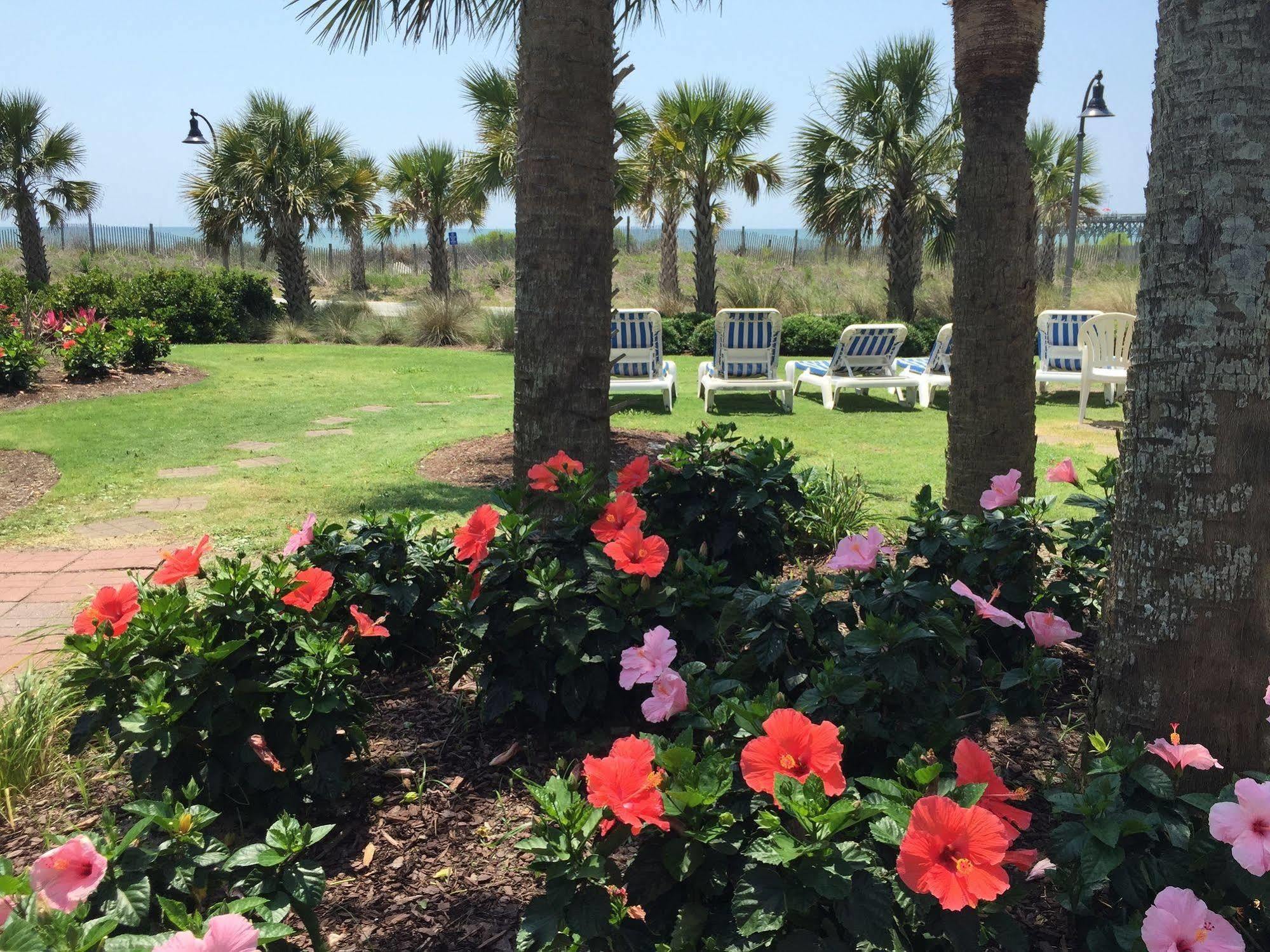Windsurfer Hotel Myrtle Beach Exterior foto